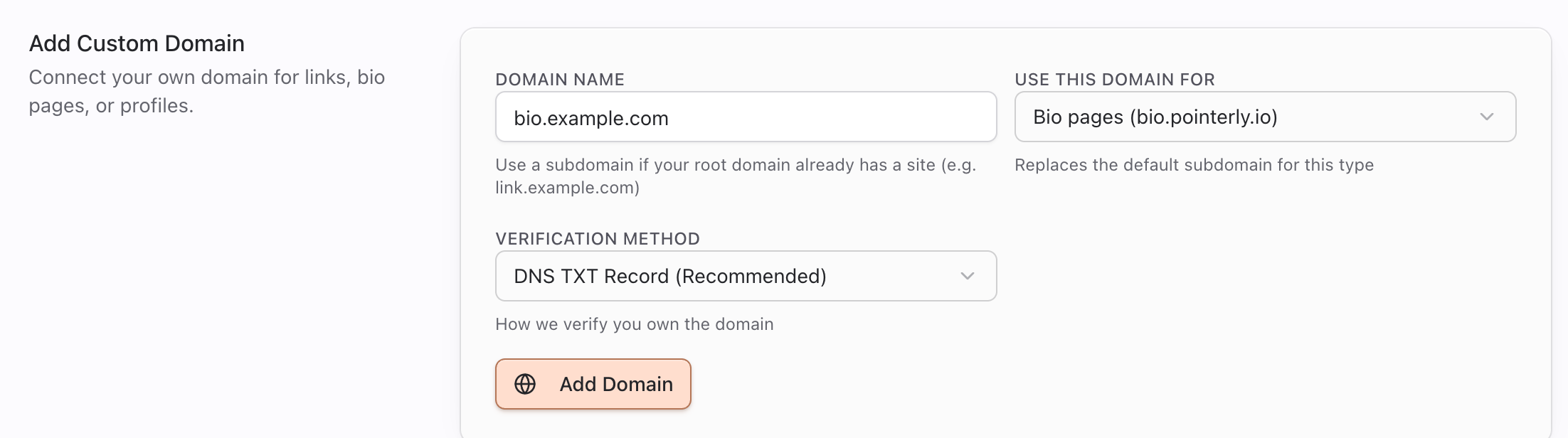 Add Custom Domain form with Bio pages selected